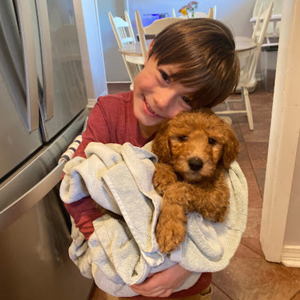 Meet your Posher, Jenkins